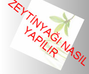 zeytinyağ nasıl yapılır