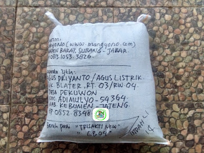 Benih padi yang dibeli   AGUS PRIYANTO Kebumen, Jateng.  (Setelah packing karung).