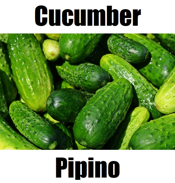Cucumber in Tagalog