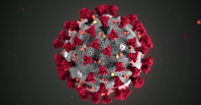 Covid 19 Pandemic Resources Pallimed