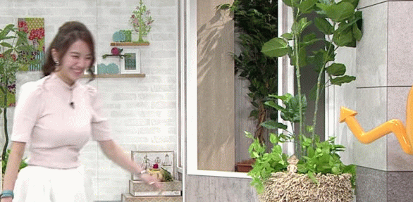 일본의 프리 아나운서 이토 사야코 - 디쁠