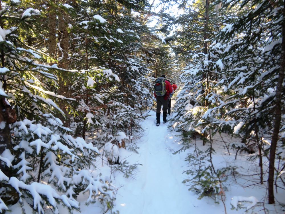 Outdoor Diversion Breaking Trail to Mount Isolation