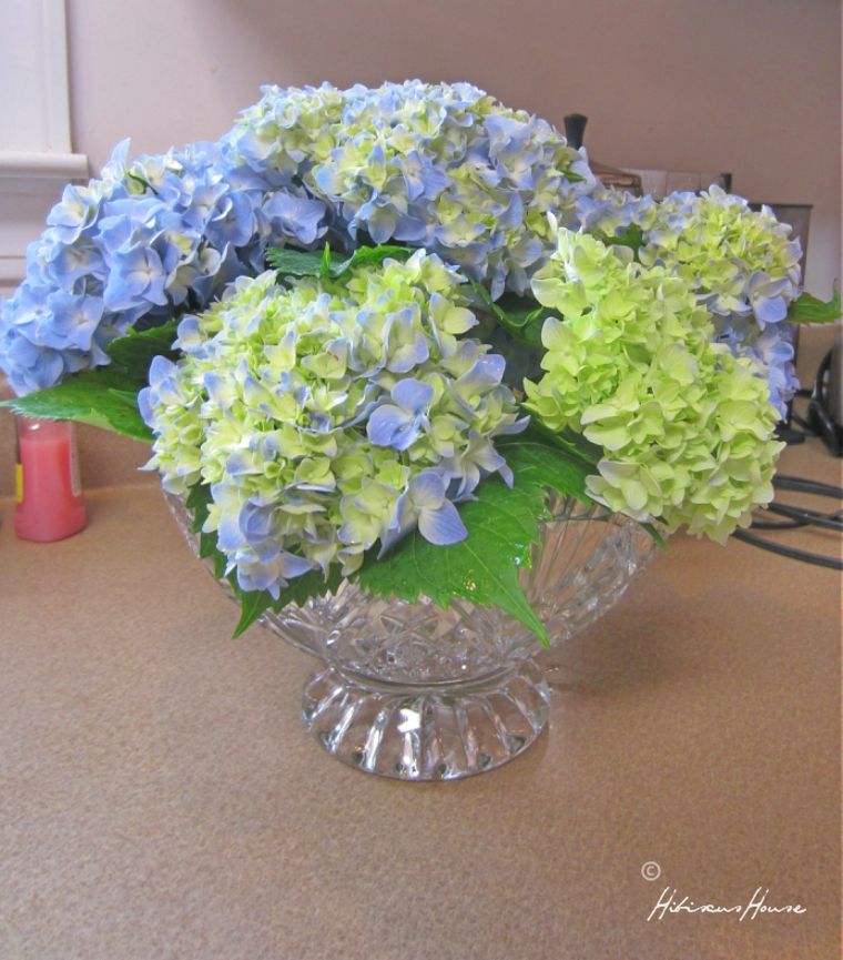 Hibiscus House Arranging Beautiful Hydrangeas!