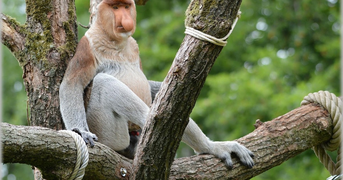 Wochenende In Bildern Wib 42 2017 Freizeitpark Und Ferienende