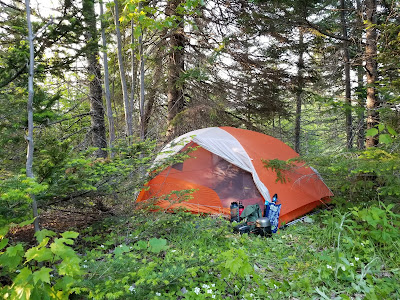Tent on Great Trail in Newfoundland Boreal camping.