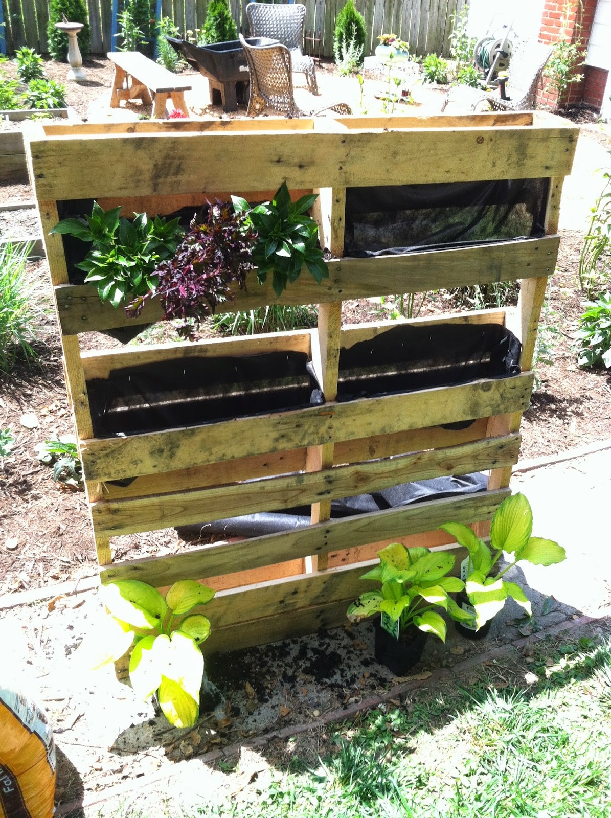 Pallet Garden step by step