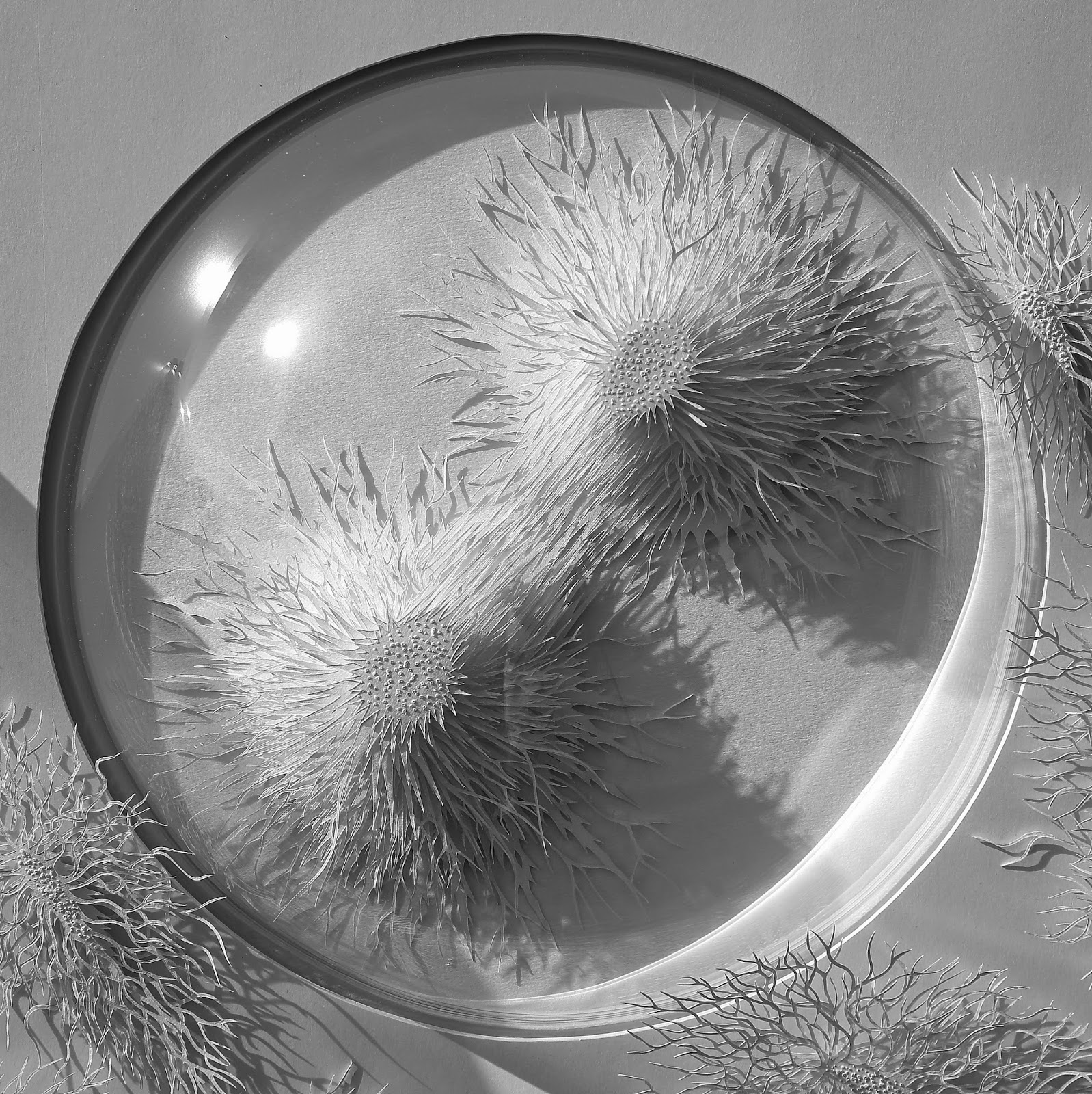 Paper Sculpture 2014