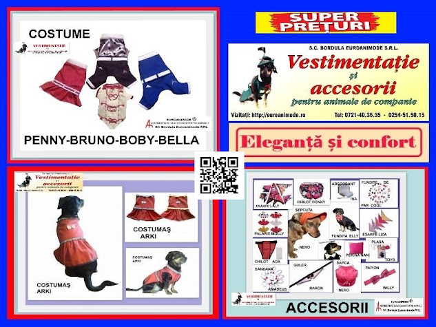 Oferte pentru vara !