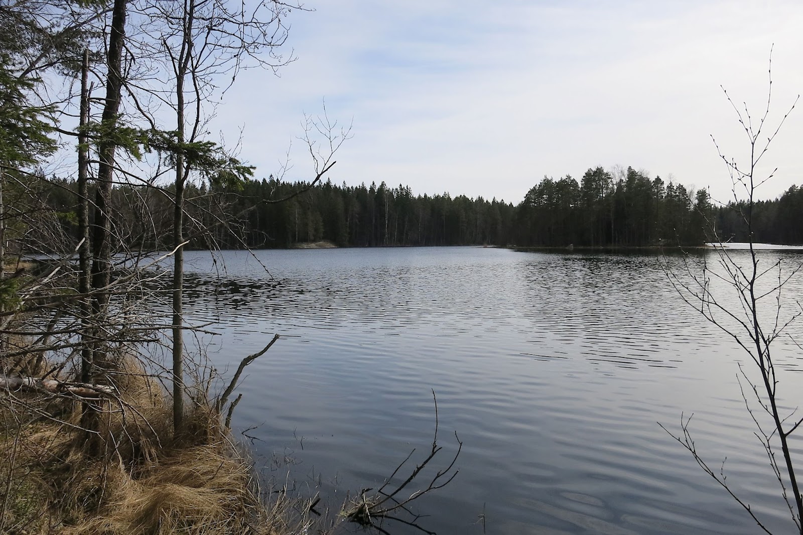 Saarilampi Saarilampi, Klassarinkierros, Nuuksio