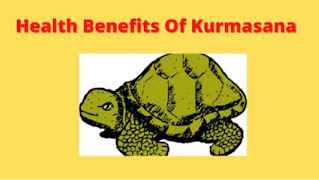 kurmasana steps benefits, and precautions