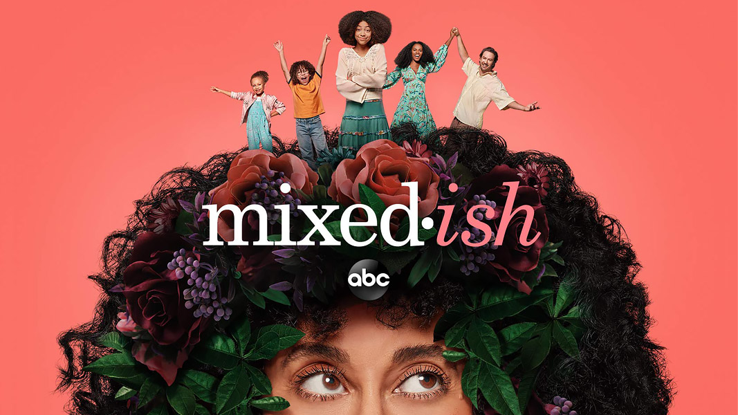 Mixedish TodayTvSeries Download 480p MKV