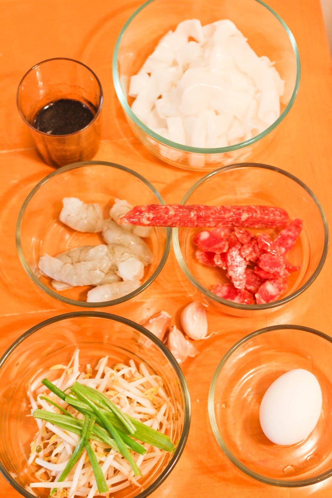 A Scientist's Love Affair with Food Pan Fried Flat Rice Noodle (Char