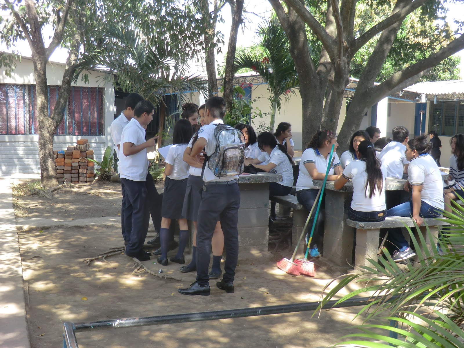 Ida y Vuelta 2016 APOPA MINED,DESPEDIDA NATALIA