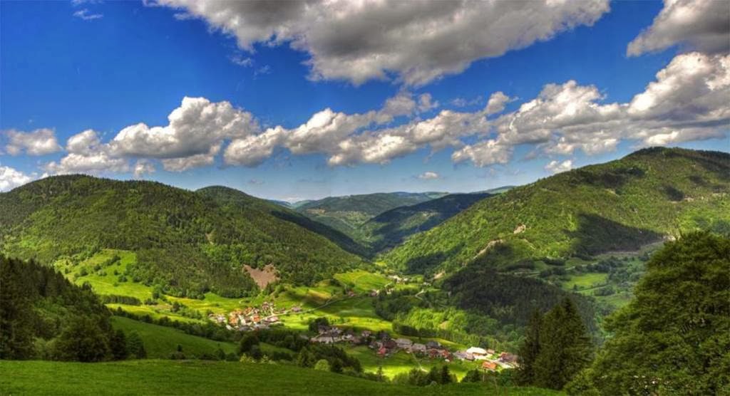 black forest germany black forest germany