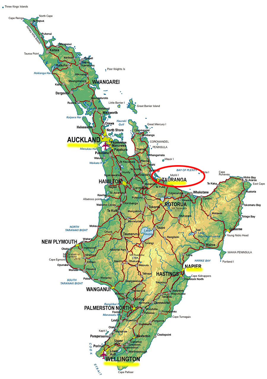 Pasión por Viajar Lugares inolvidables Tauranga