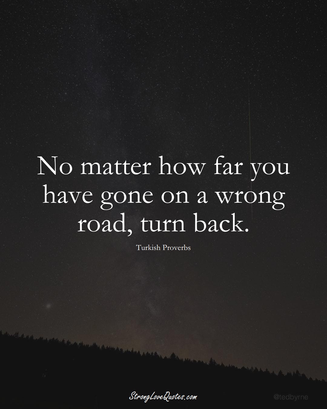 No matter how far you have gone on a wrong road, turn back. (Turkish Sayings);  #MiddleEasternSayings
