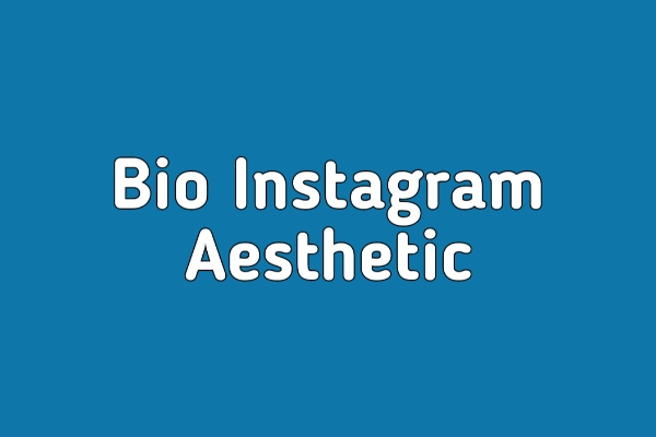 Bio Instagram Aesthetic