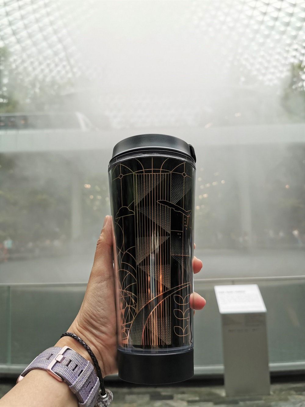 Tesyasblog One Day In Singapore From Jewel To Floral Fantasy And Tulipmania Festival 2019 In Gardens By The Bay