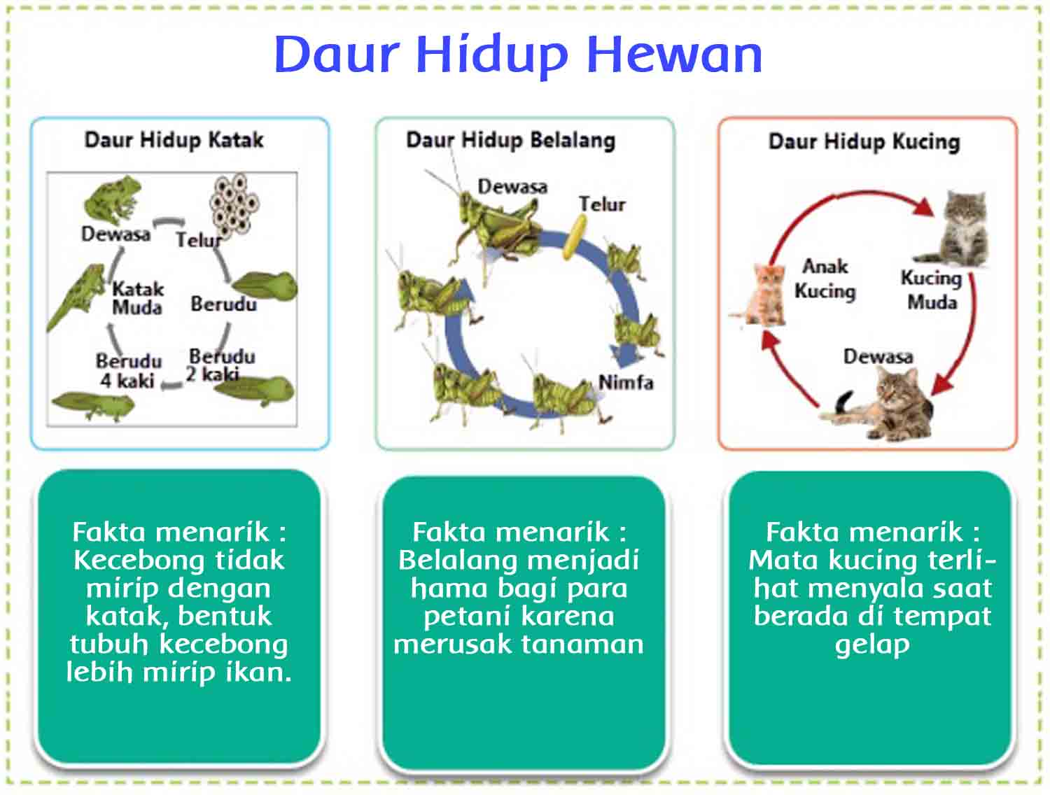 Kunci Jawaban Tema Ekosistem Kelas 5 Halaman 40, 41, 42