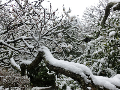 �������̐�i�F