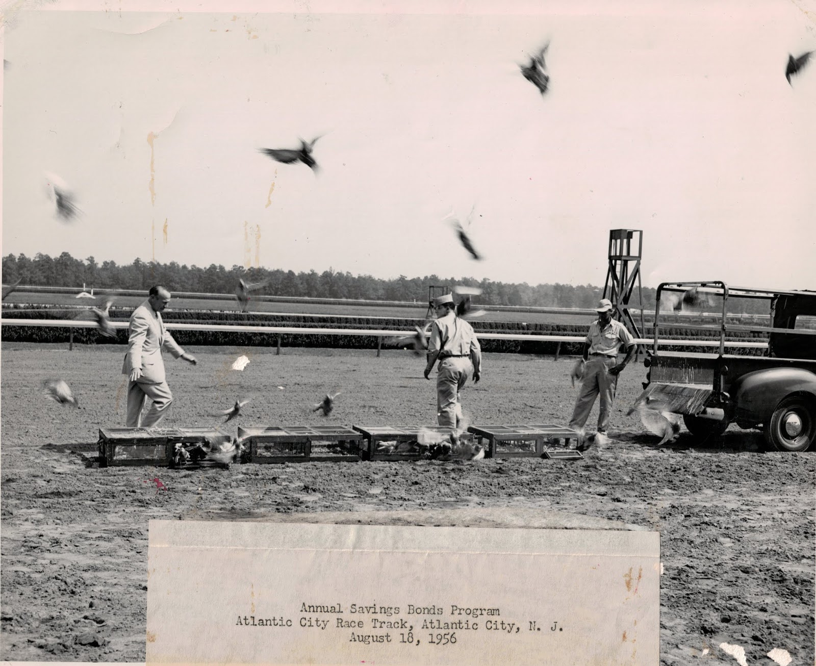 AMERICAN RACING PIGEON UNION Historically Significant Medal of Bravery
