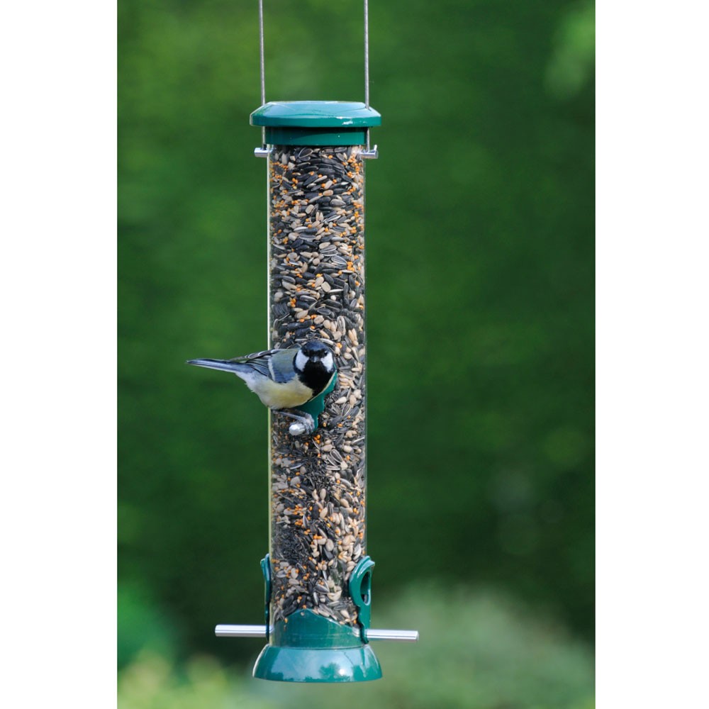 Bird In Everything Types Of Bird Seeds