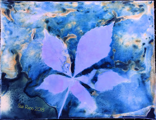 Wet cyanotype_Sue Reno_Image 411