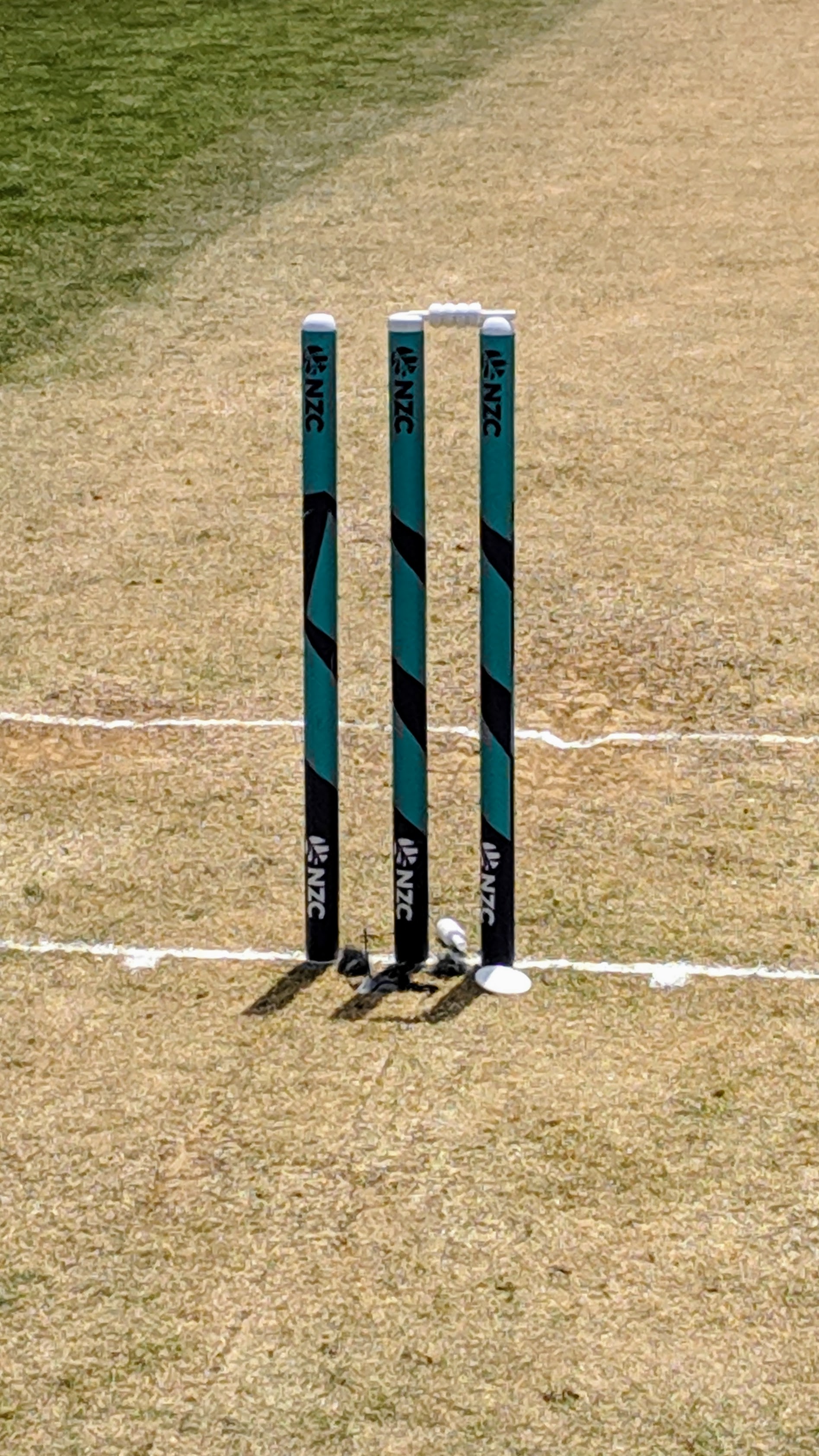 Test match cricket wicket