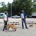The Dolphin Company es dog friendly