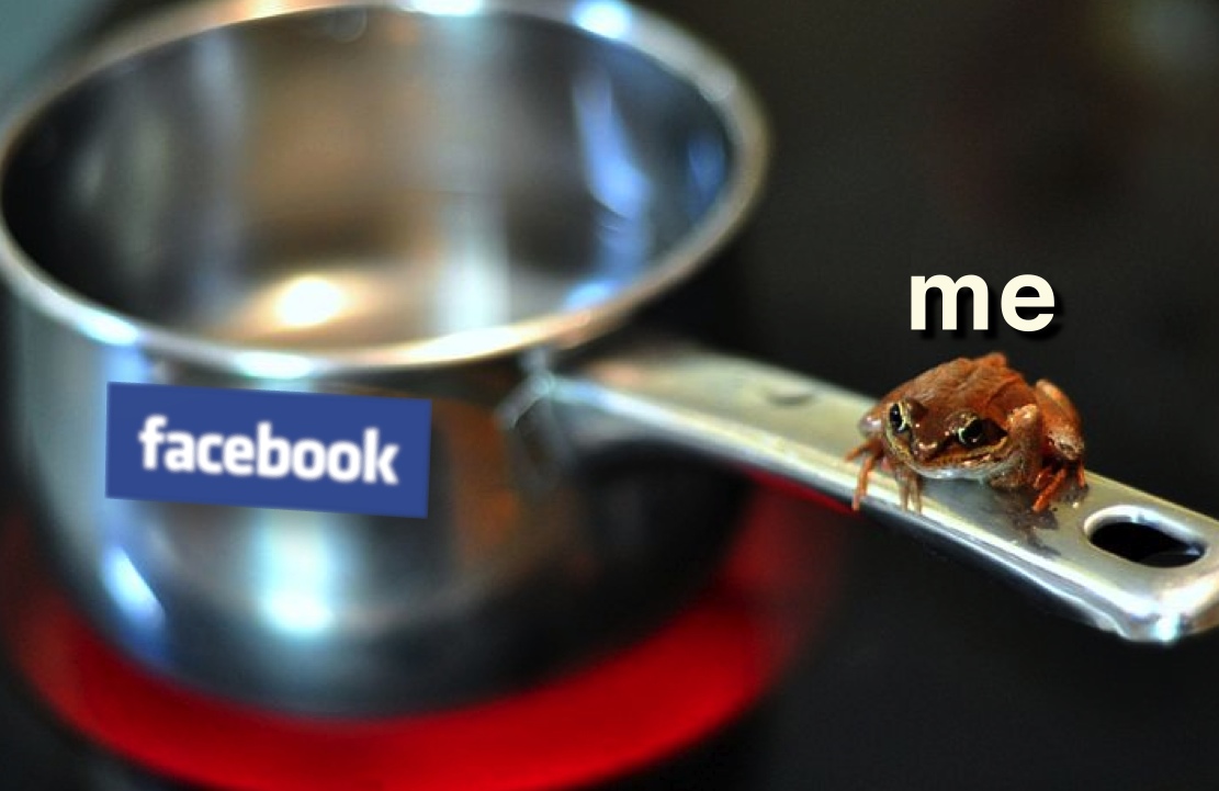 Phd thesis boiling image