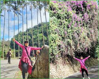 大溪景點˙揭開神秘面紗的-後慈湖-中壢社大週四趴趴走一日遊