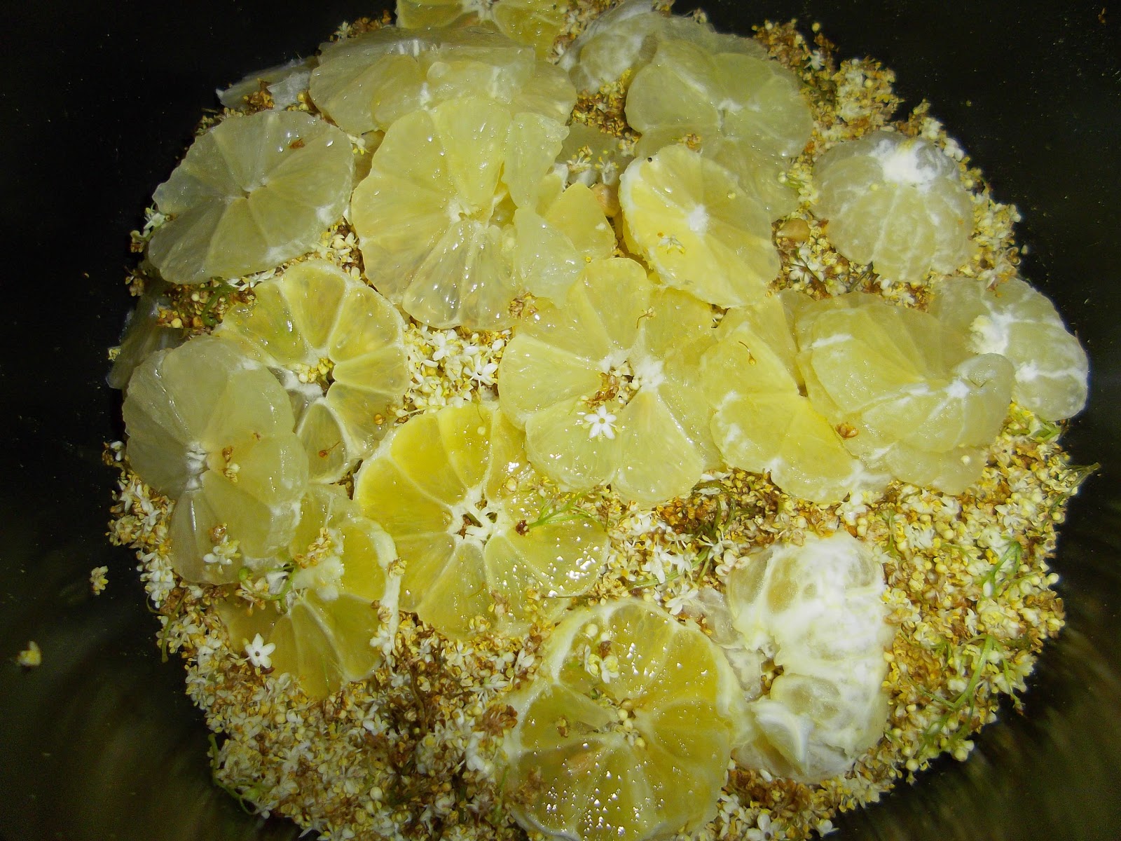 Elderflower syrup recipe (including photos) Life in Luxembourg