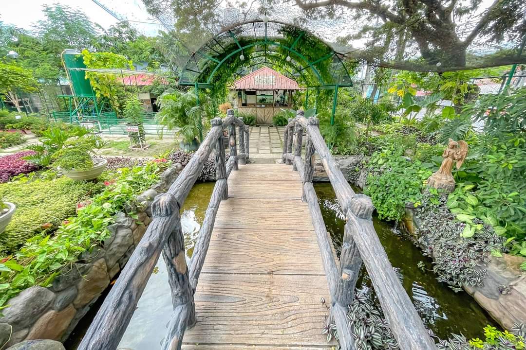 Las Piñas Nursery and Botanical Garden now open It's More Fun With Juan