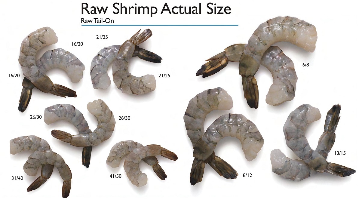Shrimp Size Classification