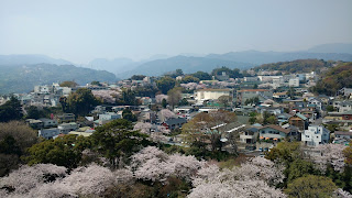 Odawara Castle sakura view