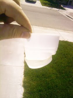 plastic
