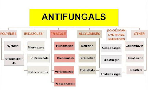 antifungal