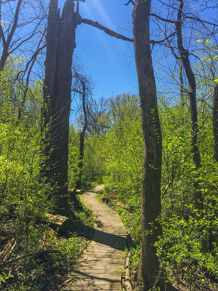 Ice Age Trail Waterville Segment in Waterville WI