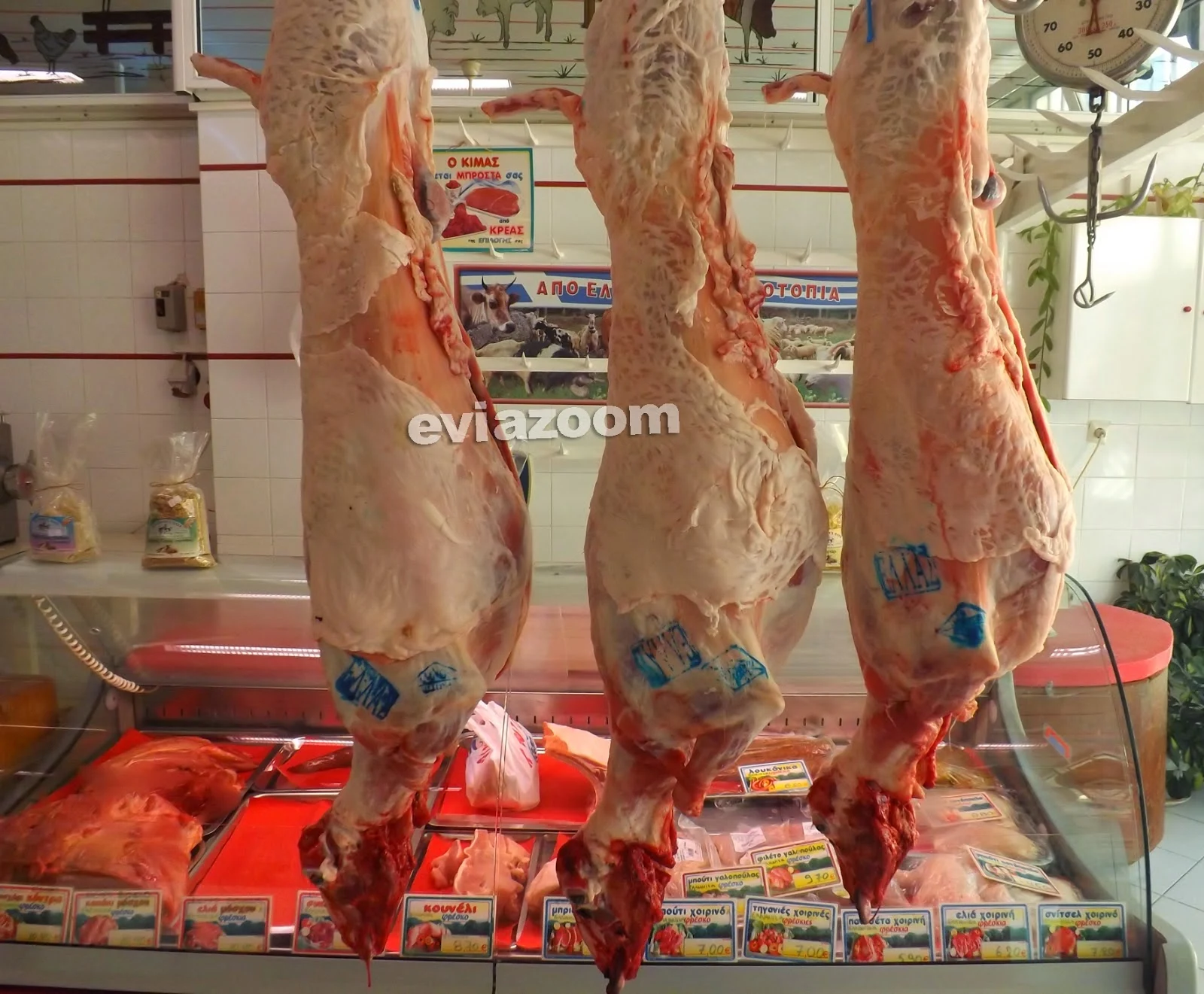 Κρεοπωλείο Ελαιοτριβιάρη - Σταματούκος στη Χαλκίδα - Εδώ και 76 χρόνια σας προσφέρει εκλεκτά κρέατα, εγγυημένης ποιότητας! (ΦΩΤΟ)