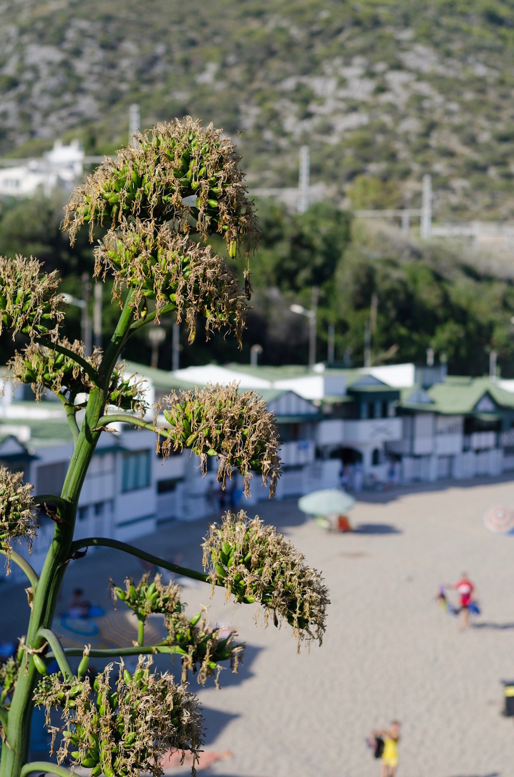 Playa las Casetas del Garraf