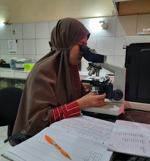 Analisis Kadar Plankton di Perairan Tambak Budidaya