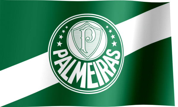 Palmeirassemmundial Eduster GIF - Palmeirassemmundial Eduster - Discover &  Share GIFs