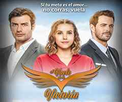 Capítulo 83 el vuelo de la victoria El vuelo de la victoria capítulo 83 - las estrellas