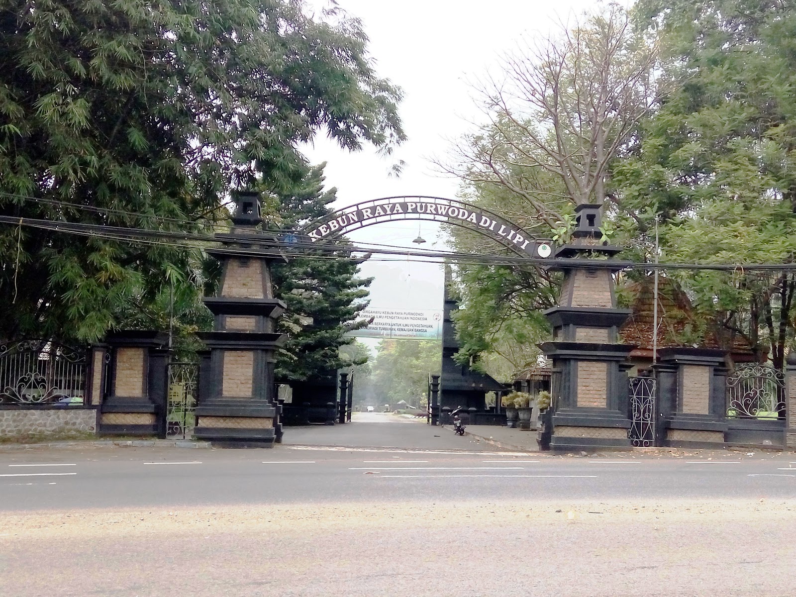 Kebun Raya Purwodadi ~ Kekunaan