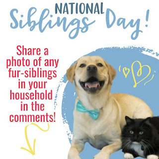 National Siblings Day Wishes National Siblings Day Wishes