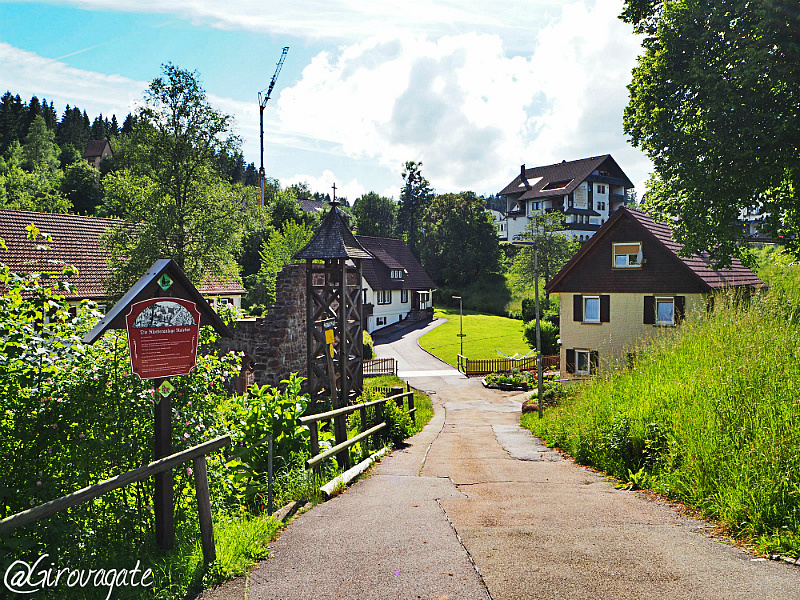 kniebis freudenstadt foresta nera