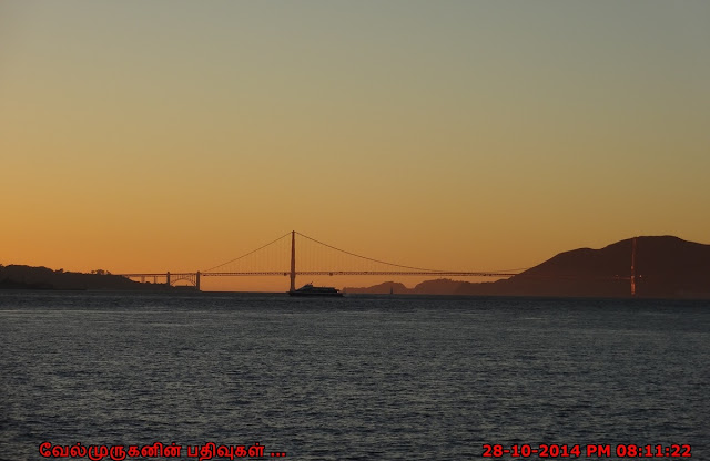 Golden Gate SFO Sunset View