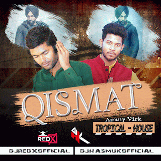Qismat-Ammy (Tropical House) Dj ReD X & Dj Hk