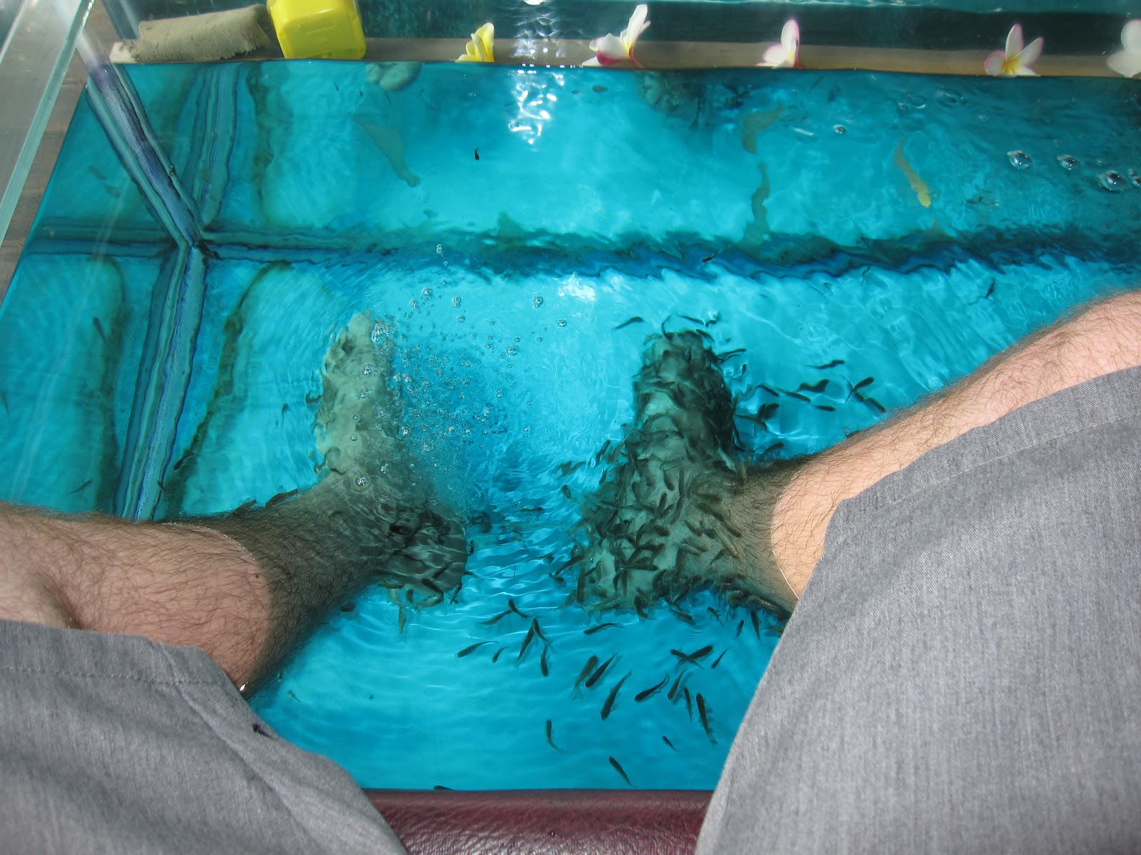 The Antsy Travelers Bali Fish Spa