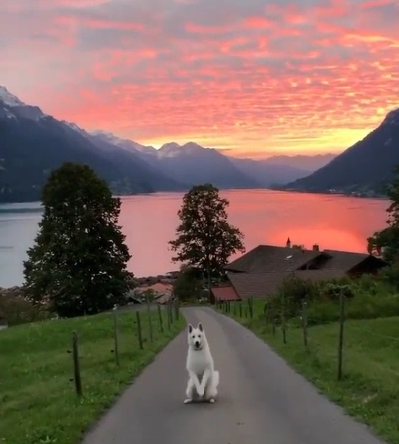이 이미지는 대체 속성이 비어있습니다. 그 파일 이름은 20210511160122.png입니다